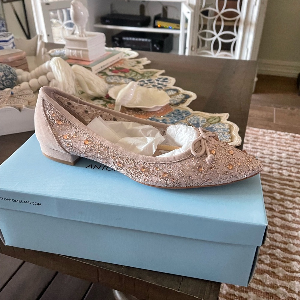 ISO antonio melani blush lace rhinestone flats new SIZE 10 SEARCHING FOR